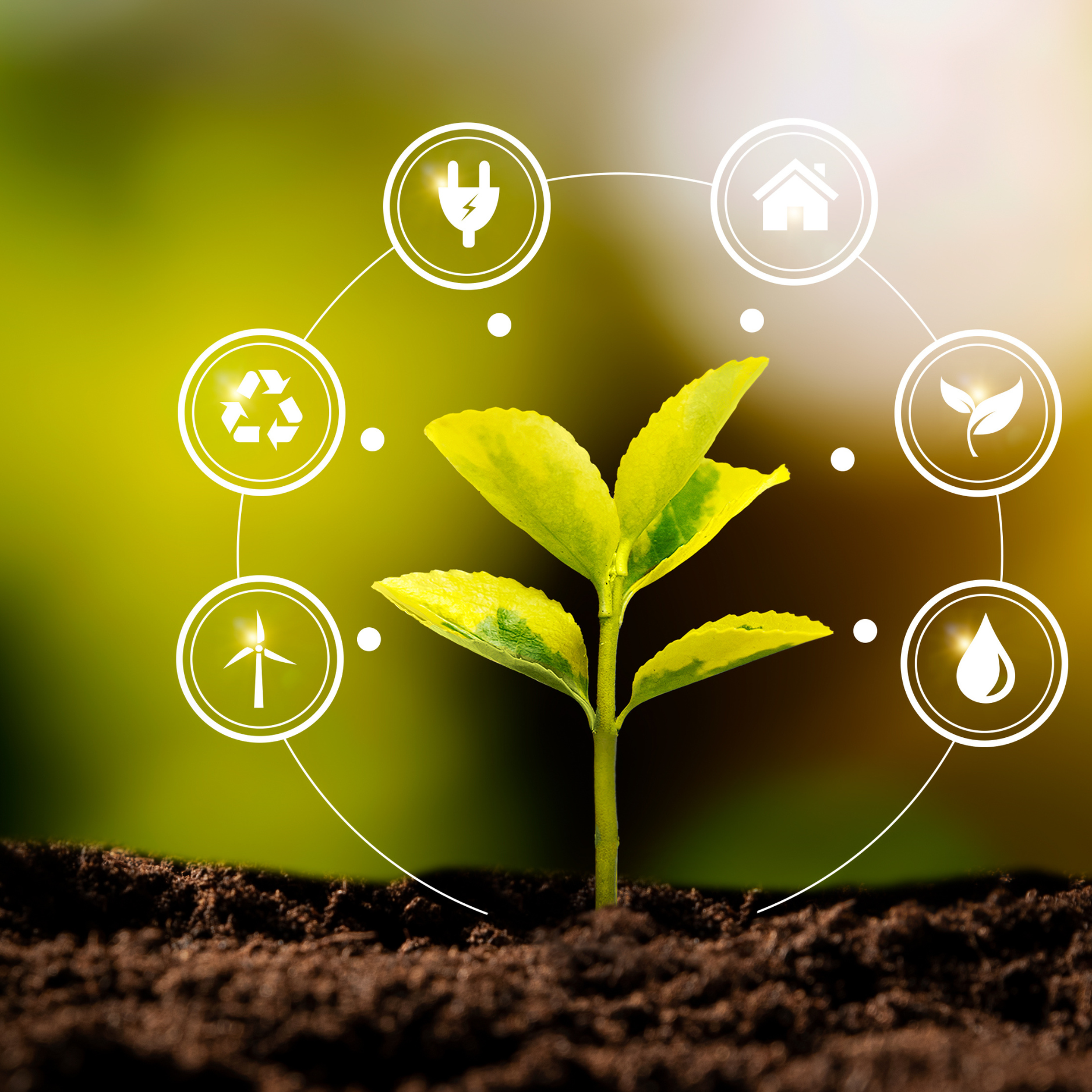 Seedling in dirt with AI icons forming a circle around it.