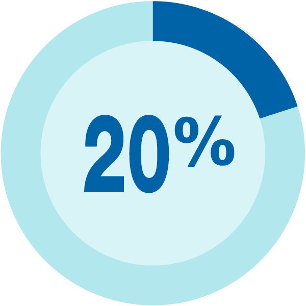 20 Percent pie chart