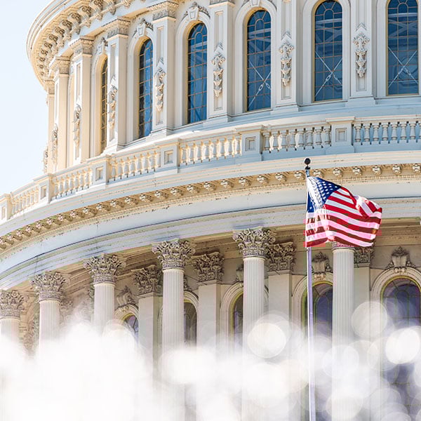 U.S. Capitol Dome